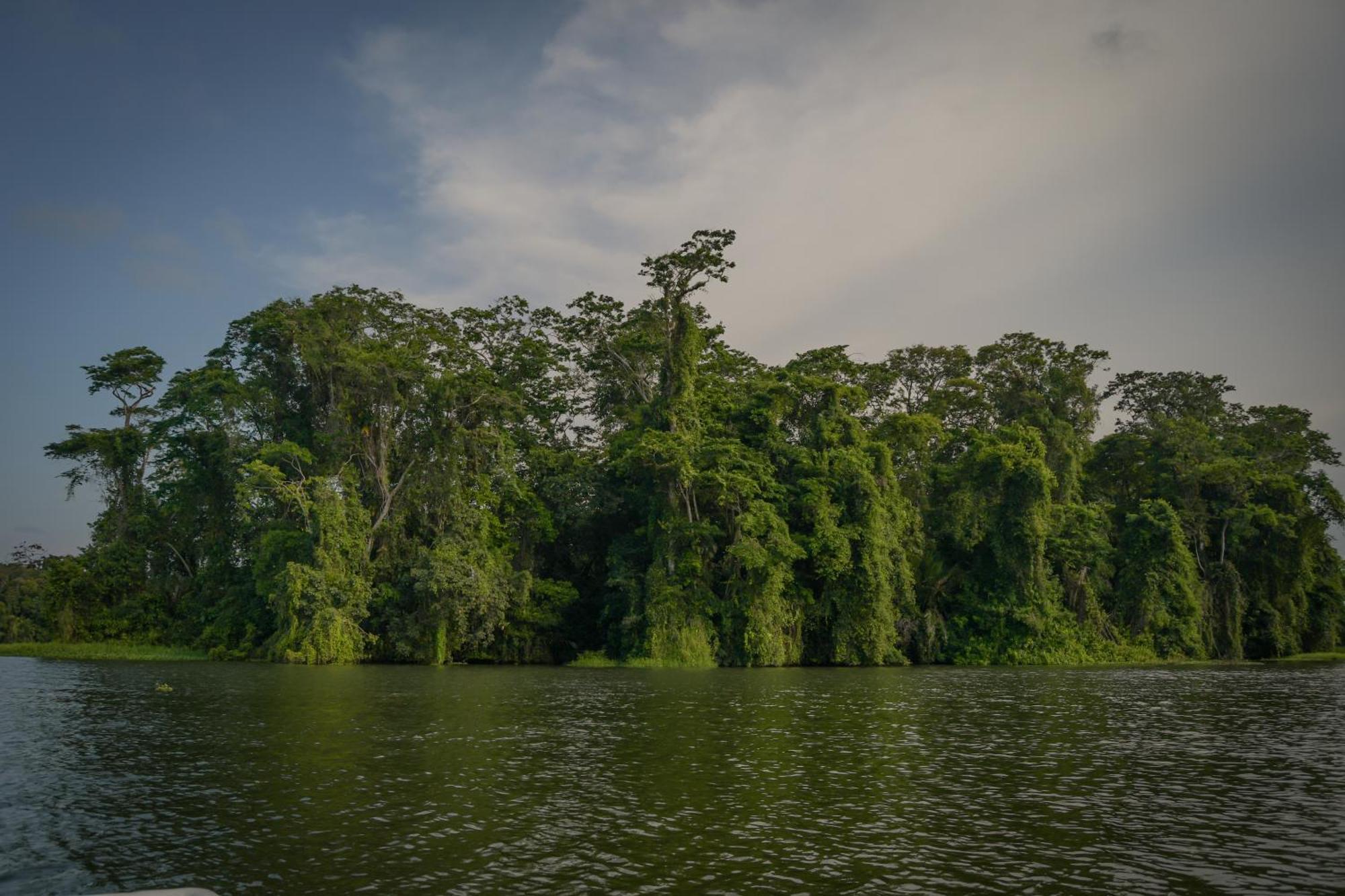 Hotel Serendipity Tortuguero Exterior foto