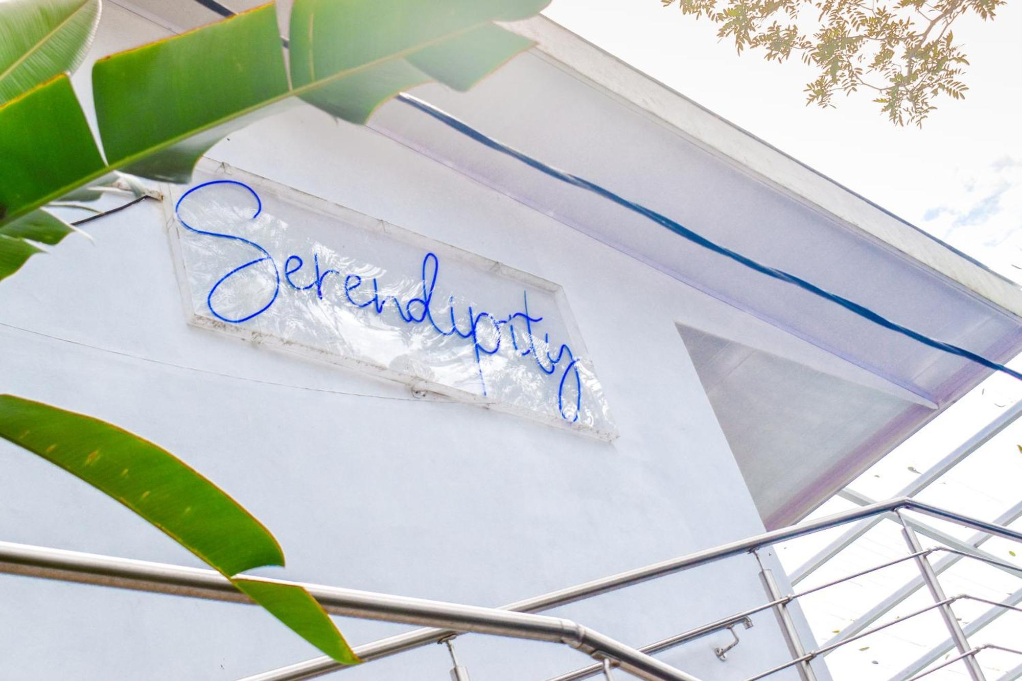 Hotel Serendipity Tortuguero Exterior foto