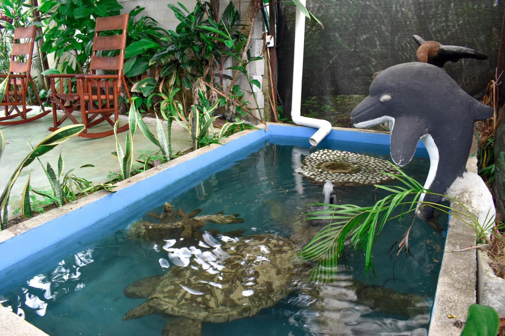 Hotel Serendipity Tortuguero Exterior foto
