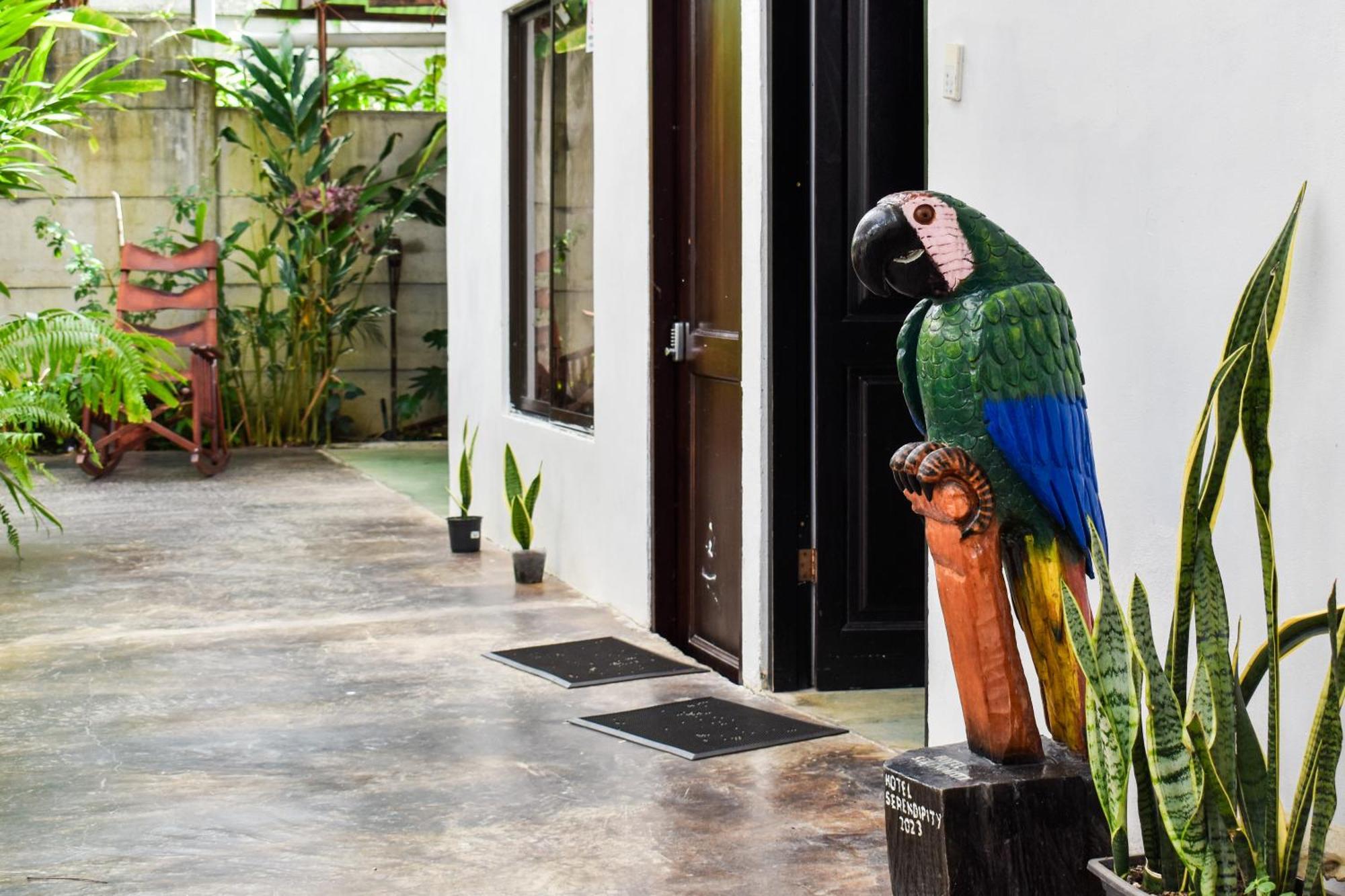 Hotel Serendipity Tortuguero Exterior foto